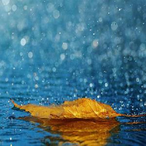 挑战一根大黑属电影
