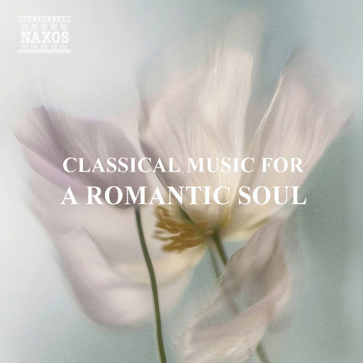 挑战一根大黑属电影
