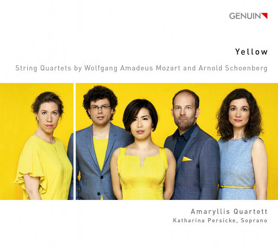 挑战一根大黑属电影
